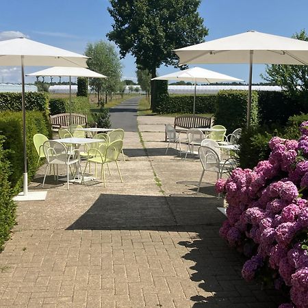 Villa Tannine et Cuisine à Jabbeke  Extérieur photo