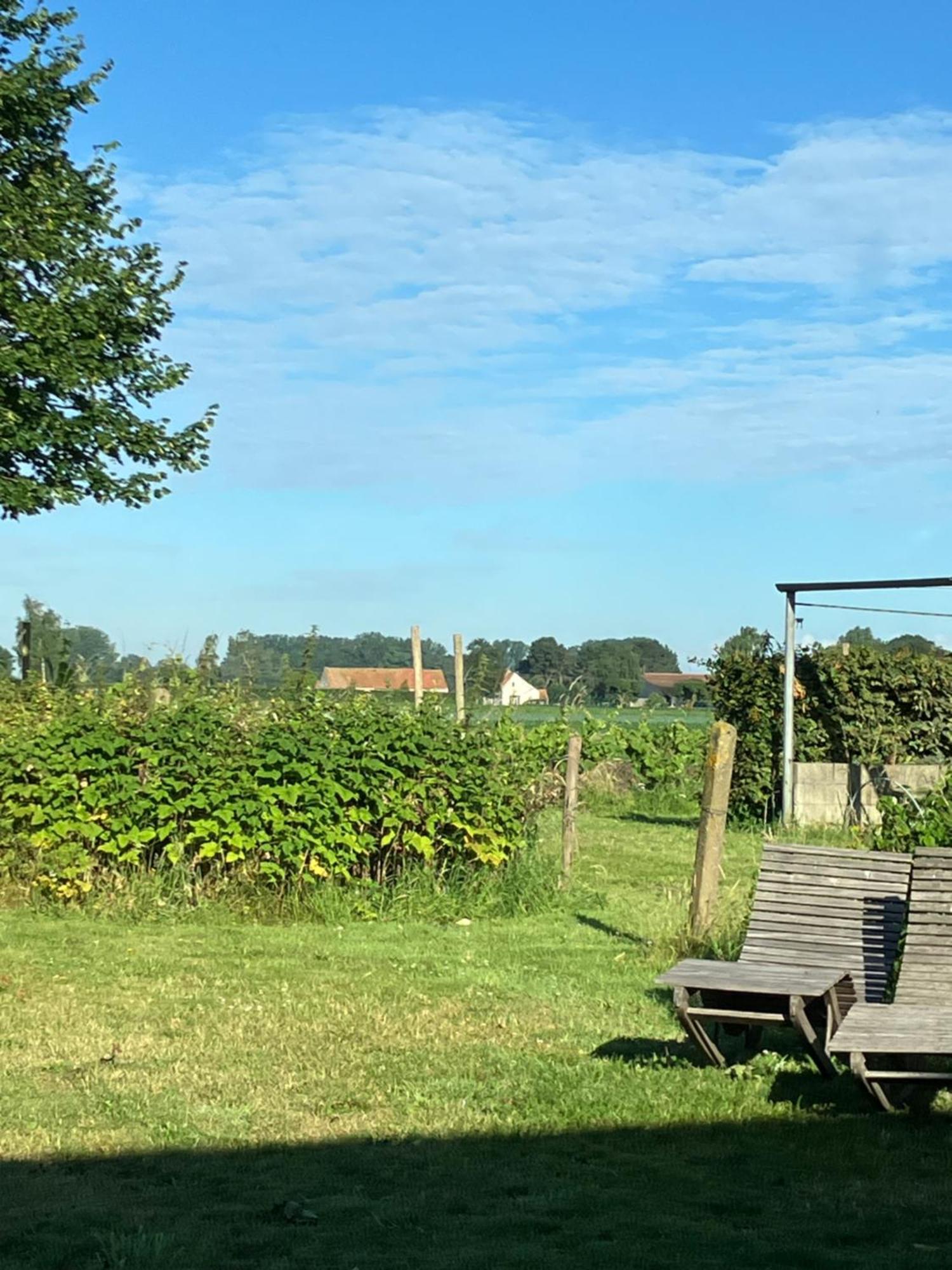 Villa Tannine et Cuisine à Jabbeke  Extérieur photo