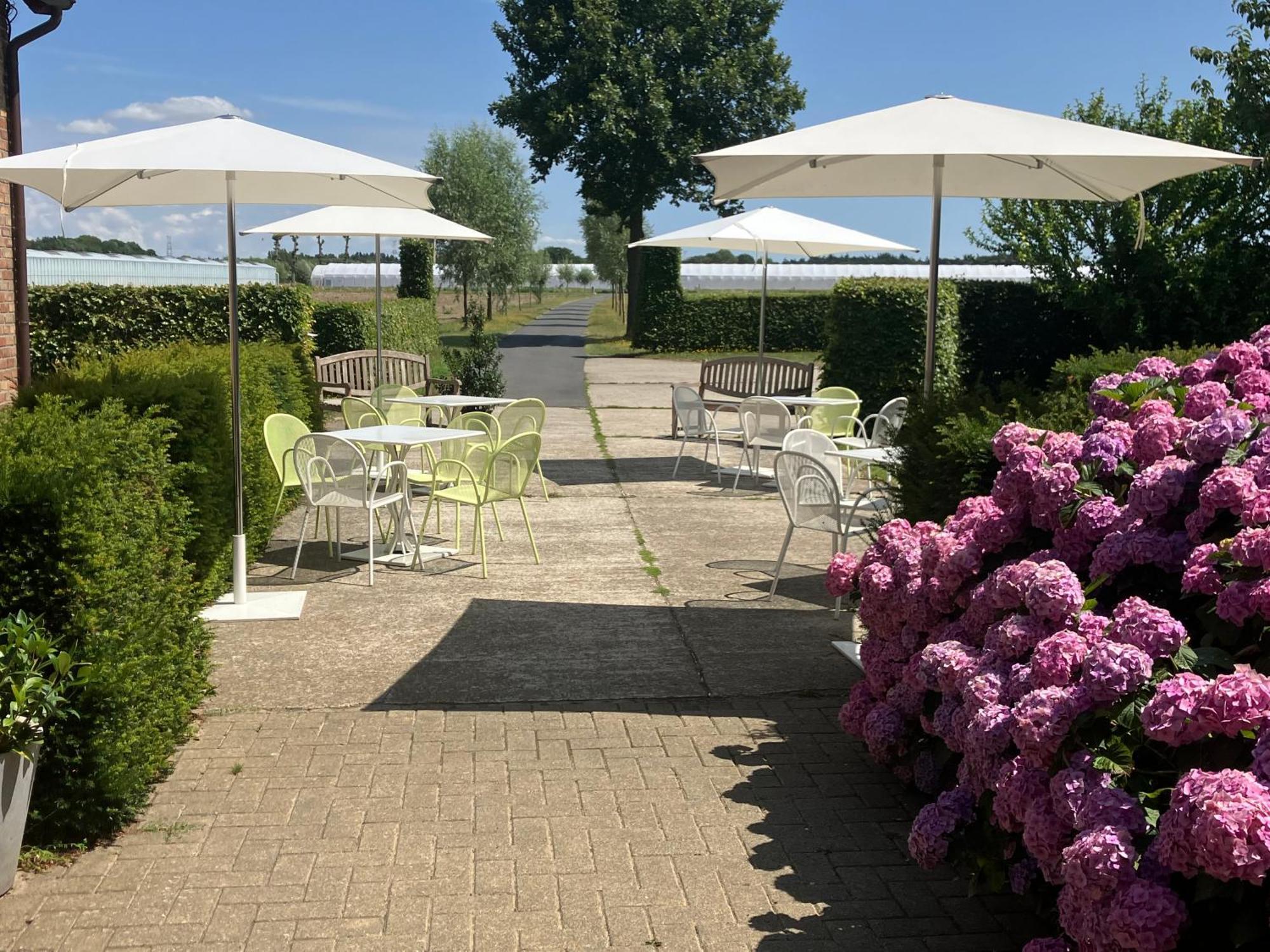 Villa Tannine et Cuisine à Jabbeke  Extérieur photo
